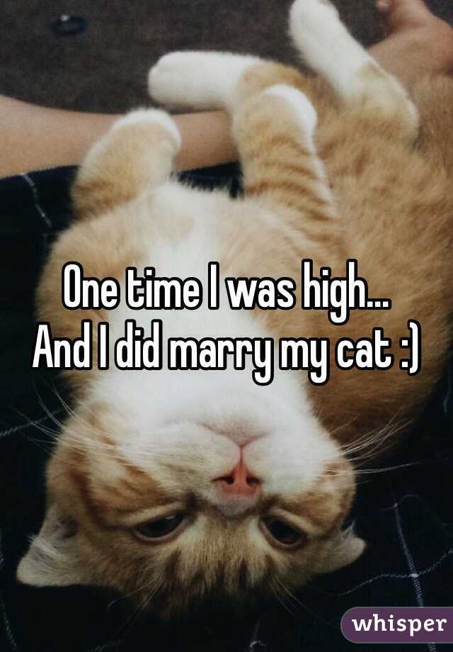 One time I was high...
And I did marry my cat :)