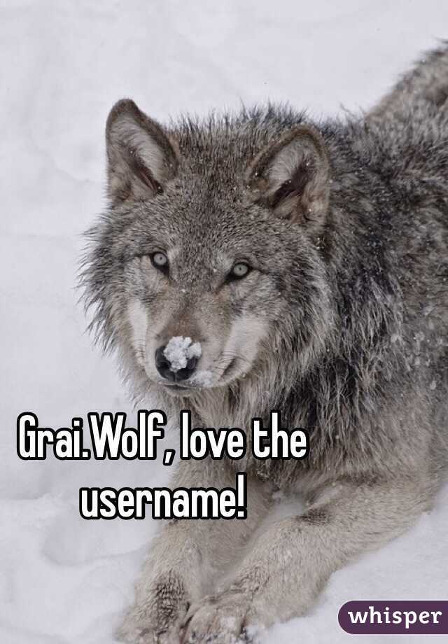 Grai.Wolf, love the username!