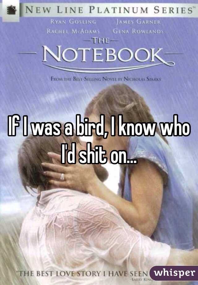 If I was a bird, I know who I'd shit on...