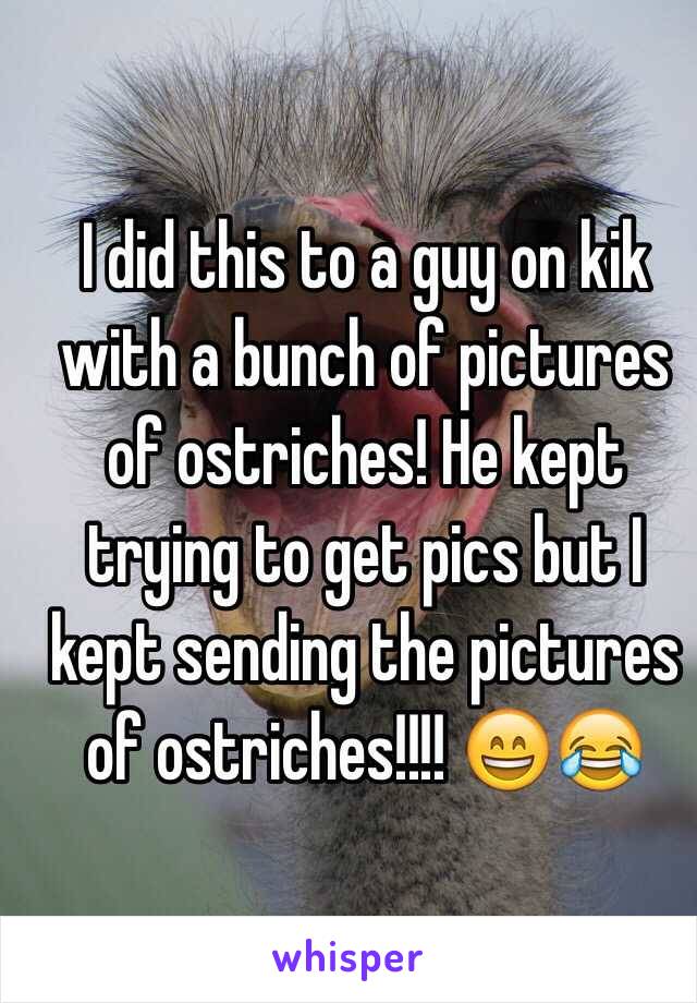 I did this to a guy on kik with a bunch of pictures of ostriches! He kept trying to get pics but I kept sending the pictures of ostriches!!!! 😄😂