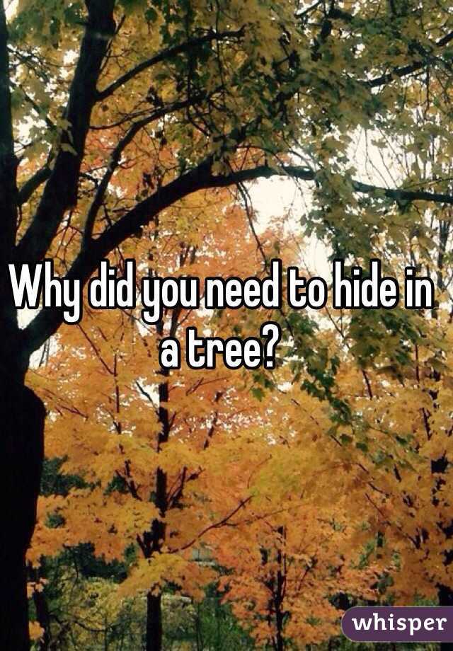 Why did you need to hide in a tree?