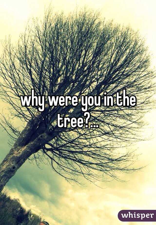 why were you in the tree?...