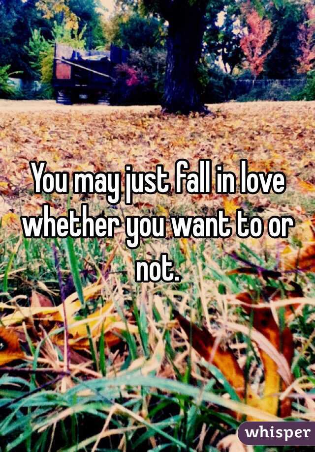You may just fall in love whether you want to or not.