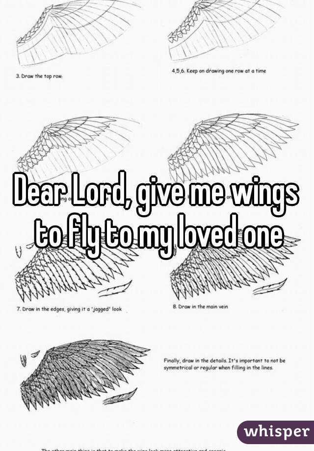 Dear Lord, give me wings to fly to my loved one