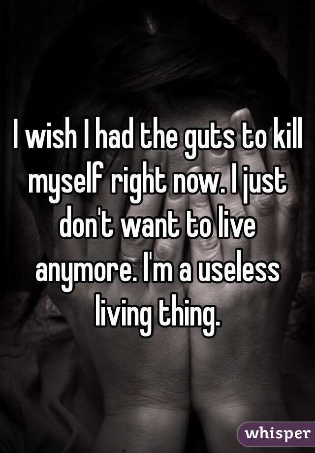 I wish I had the guts to kill myself right now. I just don't want to live anymore. I'm a useless living thing.