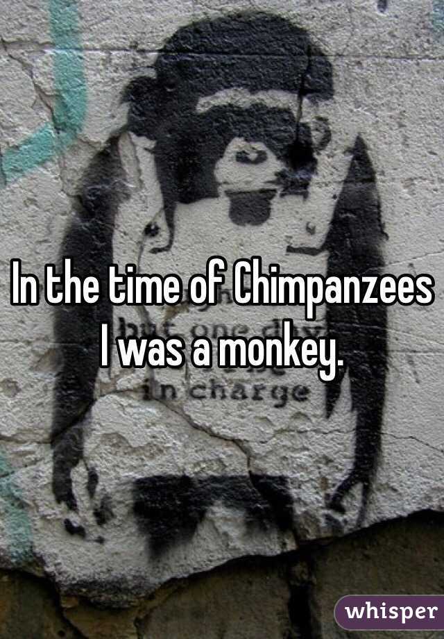 In the time of Chimpanzees I was a monkey.