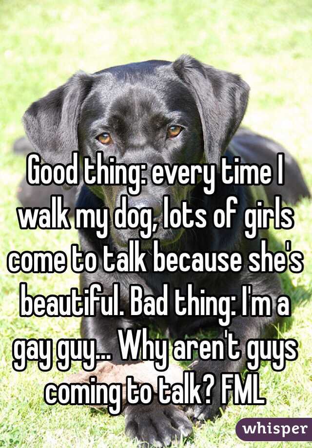 Good thing: every time I walk my dog, lots of girls come to talk because she's beautiful. Bad thing: I'm a gay guy... Why aren't guys coming to talk? FML 