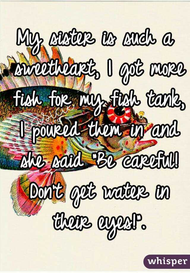 My sister is such a sweetheart, I got more fish for my fish tank, I poured them in and she said "Be careful! Don't get water in their eyes!".