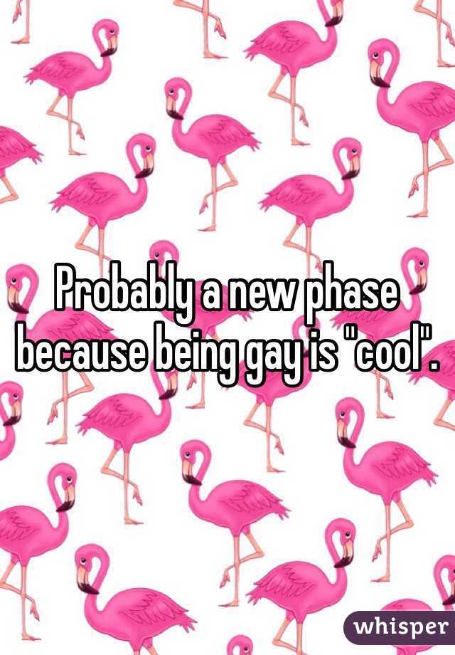 Probably a new phase because being gay is "cool".