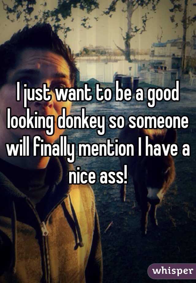 I just want to be a good looking donkey so someone will finally mention I have a nice ass!