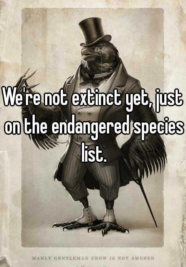 We're not extinct yet, just on the endangered species list.