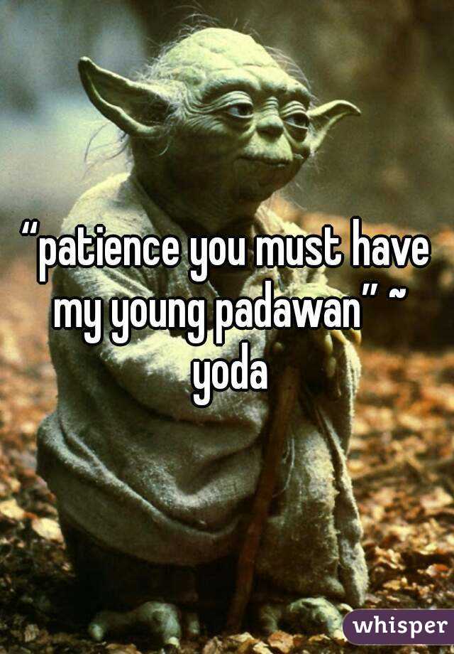 “patience you must have my young padawan” ~ yoda