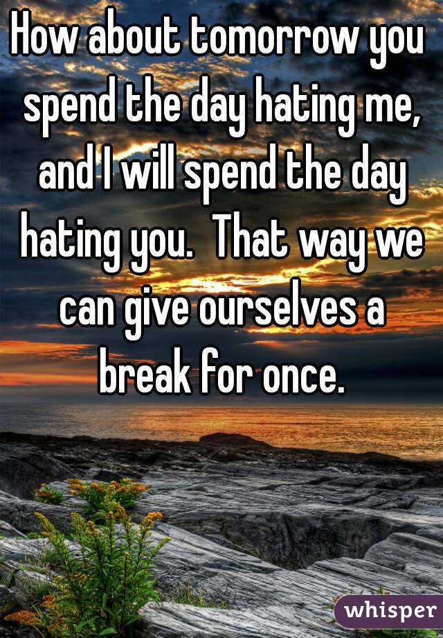 How about tomorrow you spend the day hating me, and I will spend the day hating you.  That way we can give ourselves a break for once.