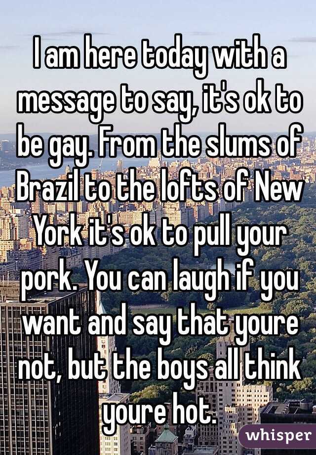 I am here today with a message to say, it's ok to be gay. From the slums of Brazil to the lofts of New York it's ok to pull your pork. You can laugh if you want and say that youre not, but the boys all think youre hot. 