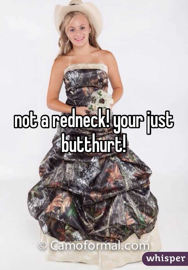 not a redneck! your just butthurt!