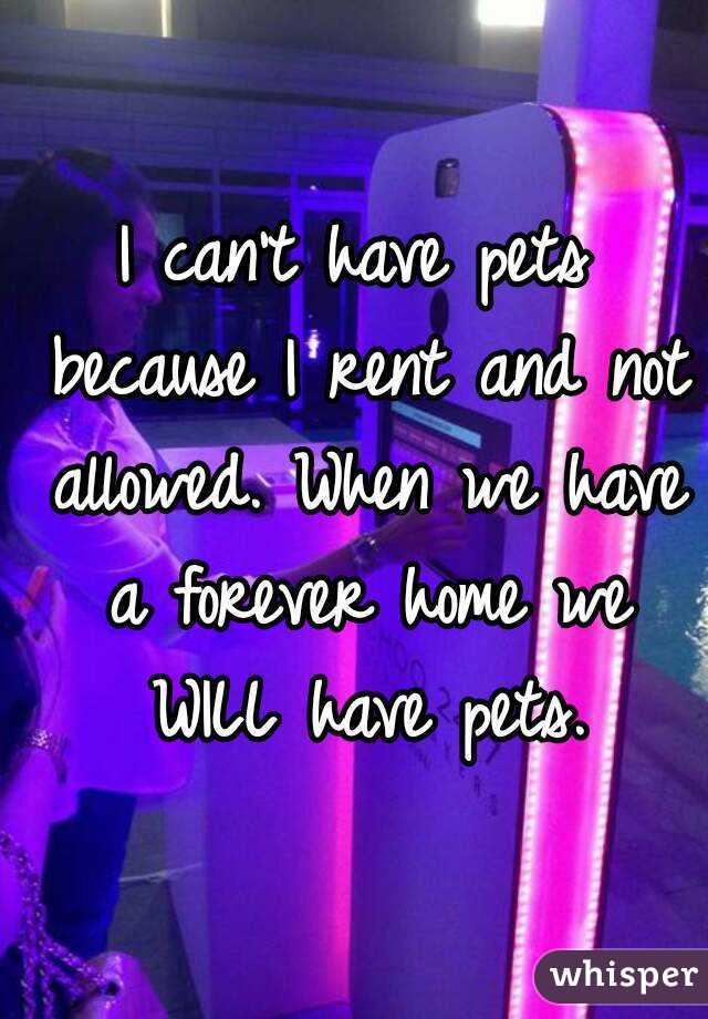 I can't have pets because I rent and not allowed. When we have a forever home we WILL have pets.