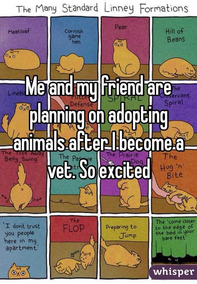 Me and my friend are planning on adopting animals after I become a vet. So excited