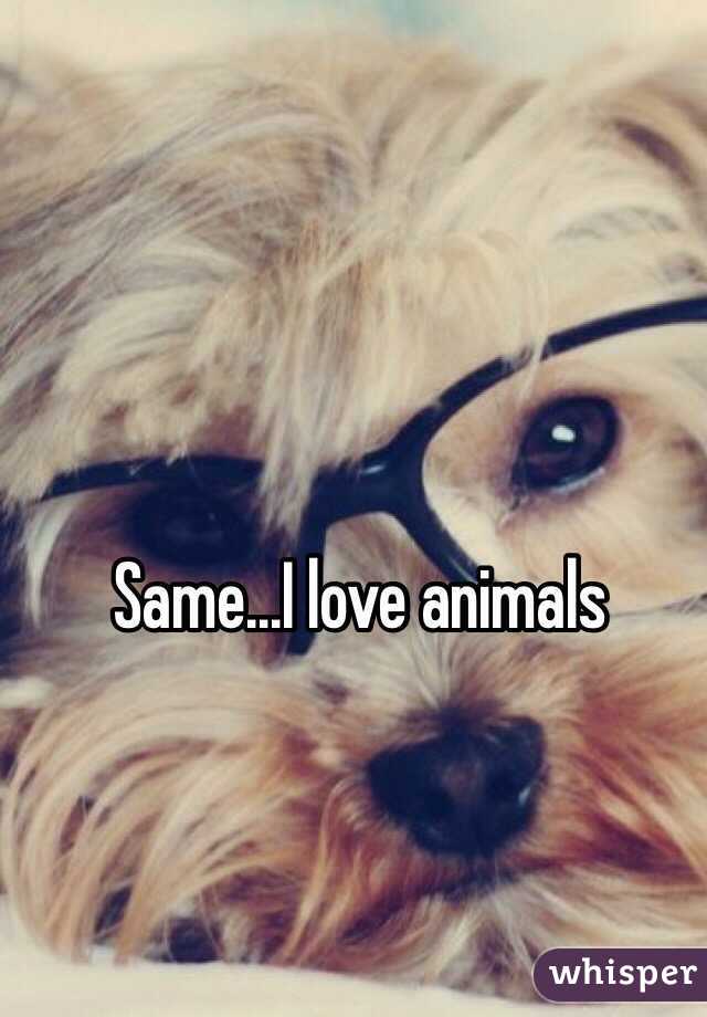 Same...I love animals 