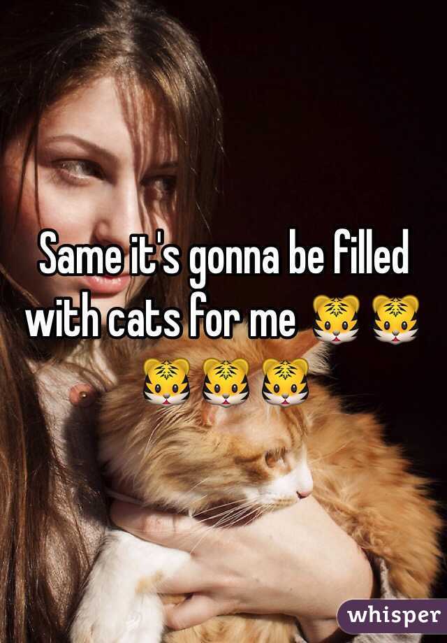 Same it's gonna be filled with cats for me 🐯🐯🐯🐯🐯