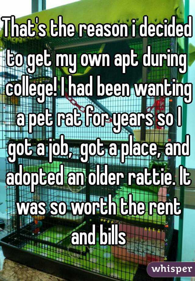 That's the reason i decided to get my own apt during  college! I had been wanting a pet rat for years so I got a job,  got a place, and adopted an older rattie. It was so worth the rent and bills