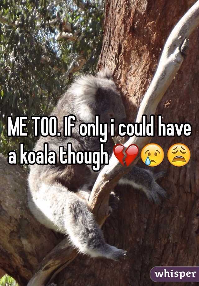 ME TOO. If only i could have a koala though 💔😢😩
