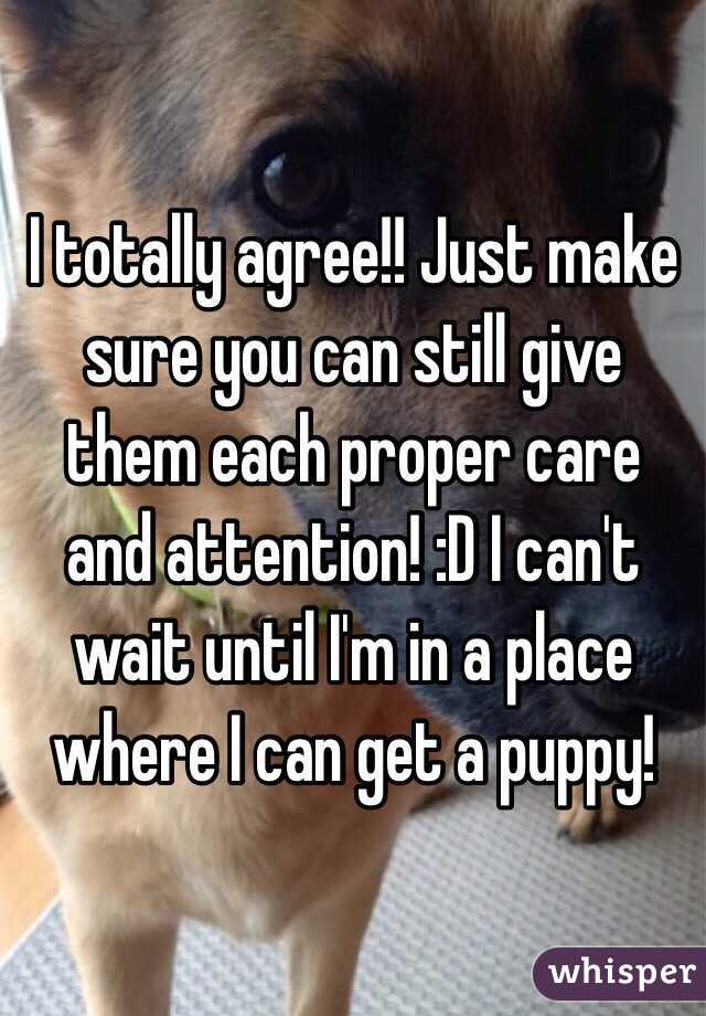 I totally agree!! Just make sure you can still give them each proper care and attention! :D I can't wait until I'm in a place where I can get a puppy! 