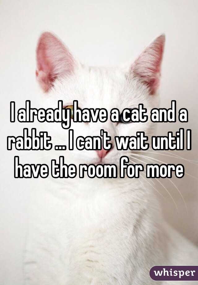 I already have a cat and a rabbit ... I can't wait until I have the room for more