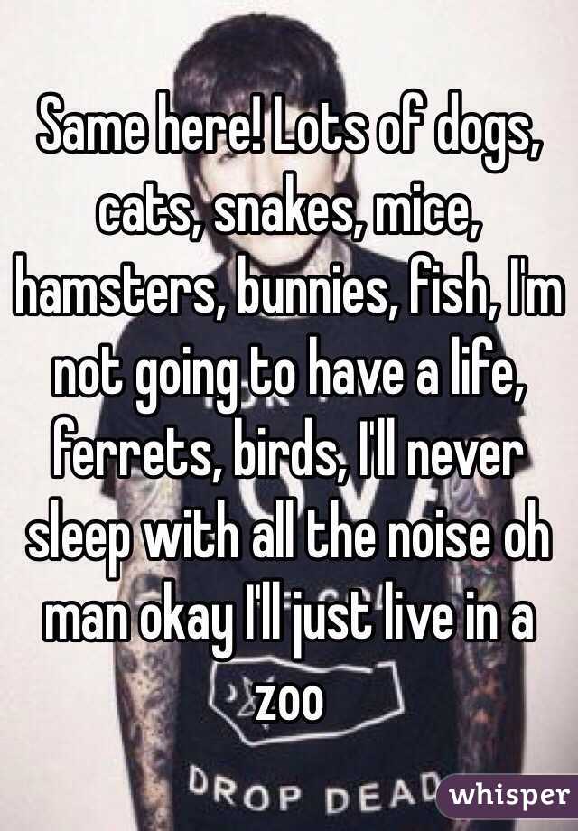Same here! Lots of dogs, cats, snakes, mice, hamsters, bunnies, fish, I'm not going to have a life, ferrets, birds, I'll never sleep with all the noise oh man okay I'll just live in a zoo 