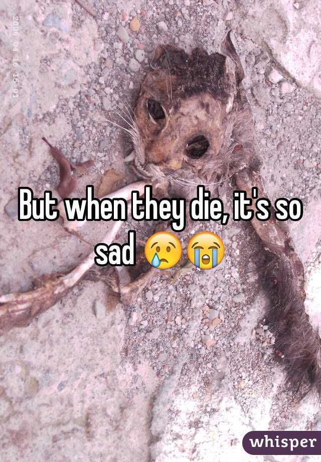 But when they die, it's so sad 😢😭