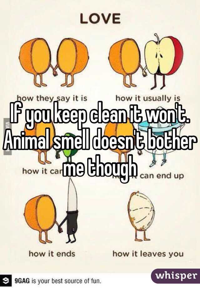 If you keep clean it won't. Animal smell doesn't bother me though 