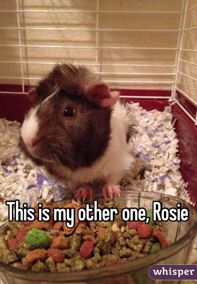 This is my other one, Rosie 