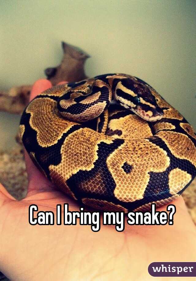 Can I bring my snake? 