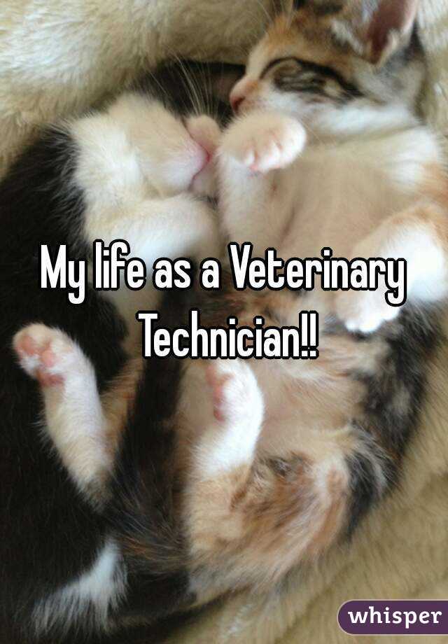 My life as a Veterinary Technician!!