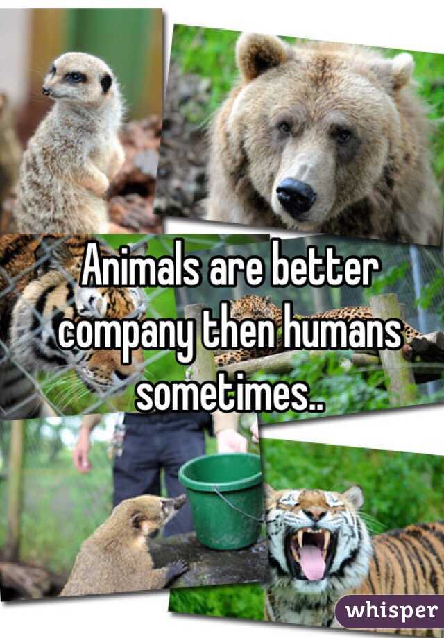 Animals are better company then humans sometimes..