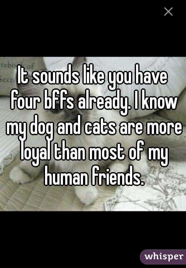 It sounds like you have four bffs already. I know my dog and cats are more loyal than most of my human friends.