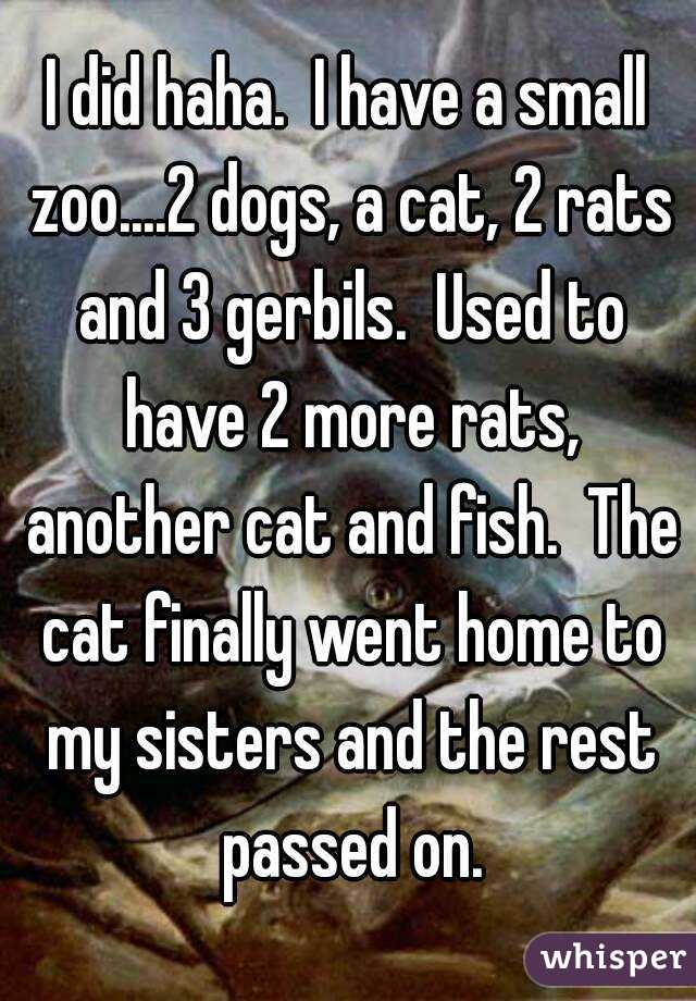 I did haha.  I have a small zoo....2 dogs, a cat, 2 rats and 3 gerbils.  Used to have 2 more rats, another cat and fish.  The cat finally went home to my sisters and the rest passed on.