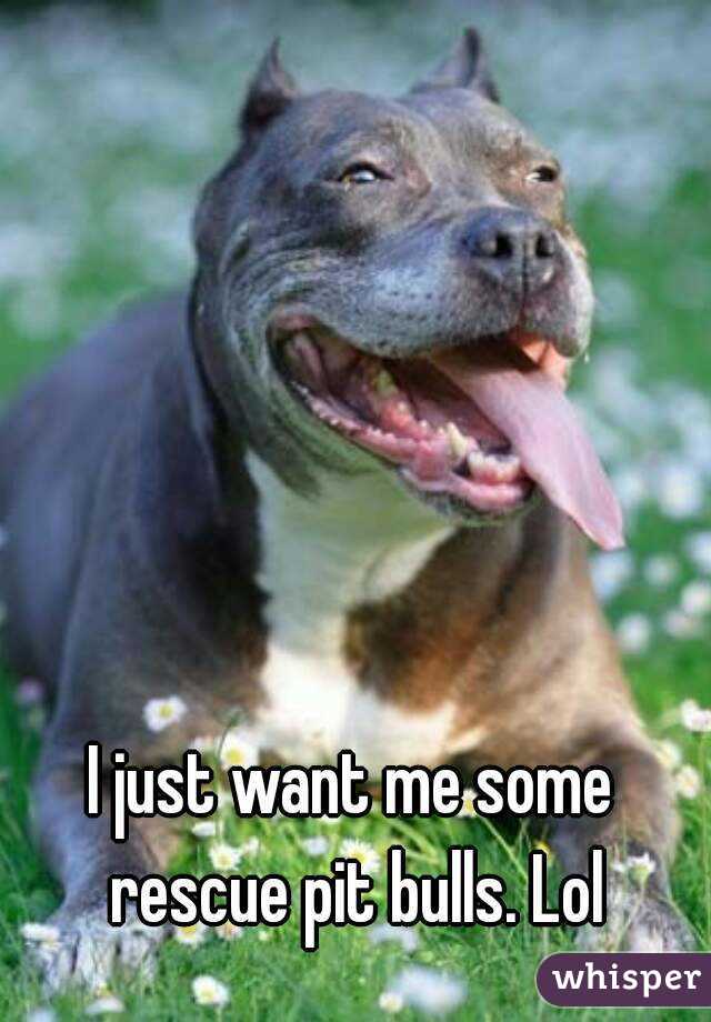 I just want me some rescue pit bulls. Lol