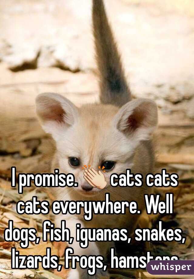 I promise. 👏 cats cats cats everywhere. Well dogs, fish, iguanas, snakes, lizards, frogs, hamsters