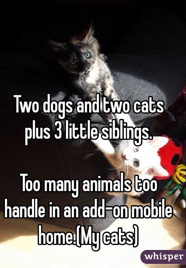 Two dogs and two cats plus 3 little siblings. 

Too many animals too handle in an add-on mobile home.(My cats)