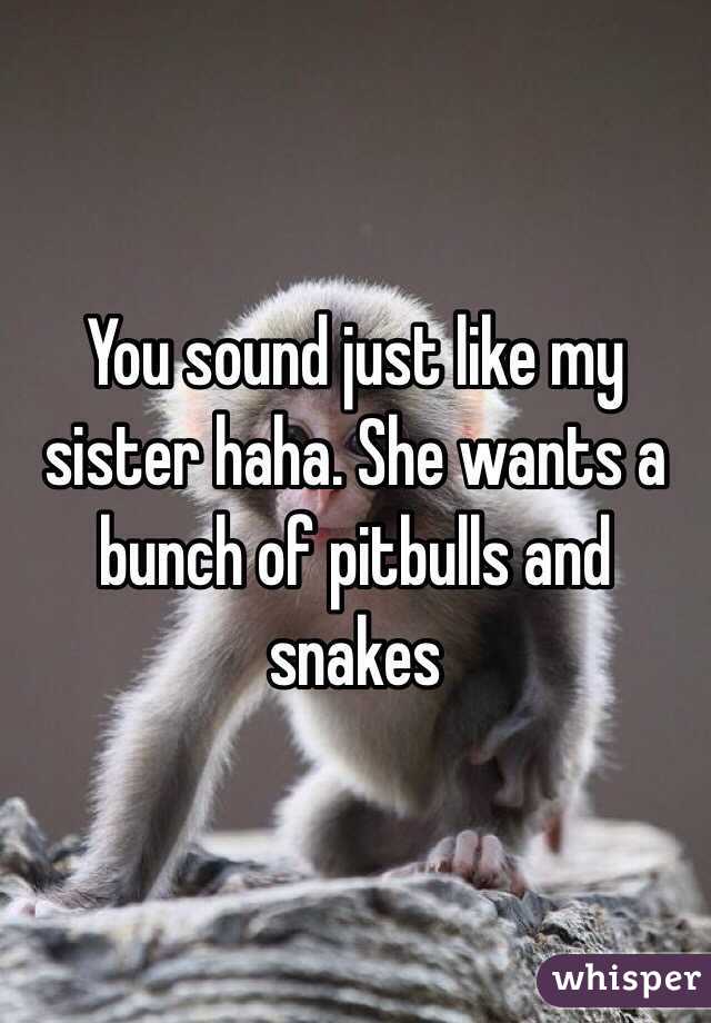 You sound just like my sister haha. She wants a bunch of pitbulls and snakes