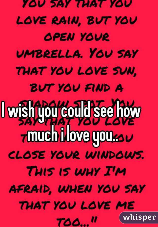 I wish you could see how much i love you..