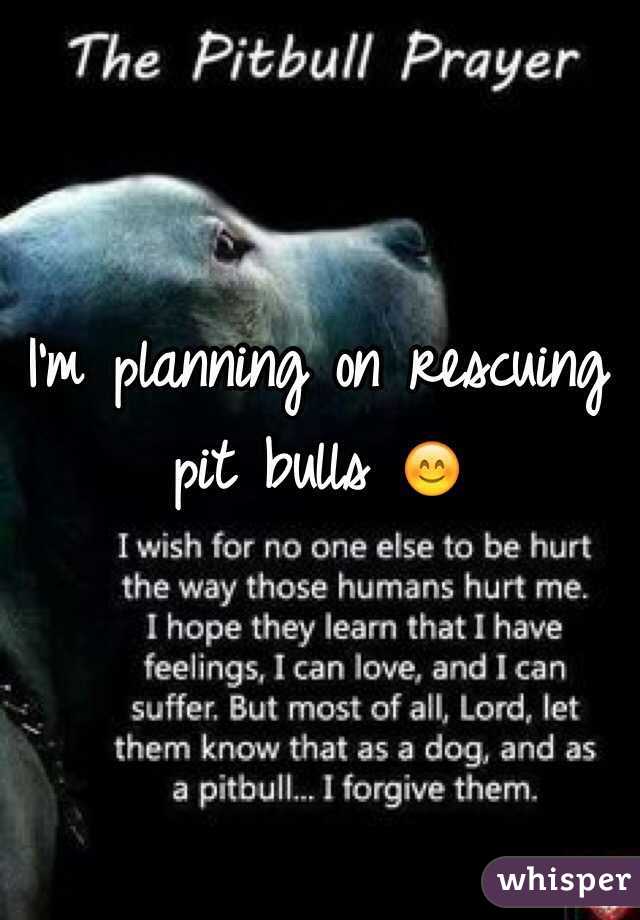 I'm planning on rescuing pit bulls 😊