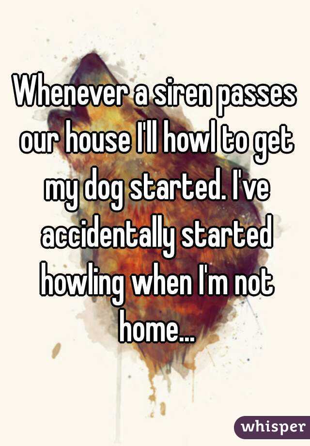 Whenever a siren passes our house I'll howl to get my dog started. I've accidentally started howling when I'm not home...