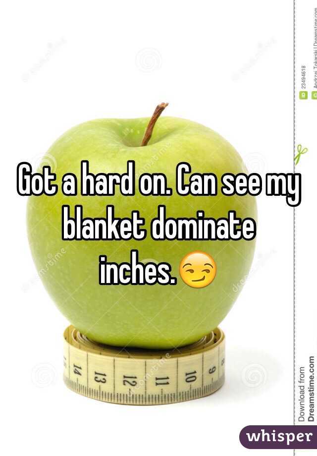 Got a hard on. Can see my blanket dominate inches.😏
