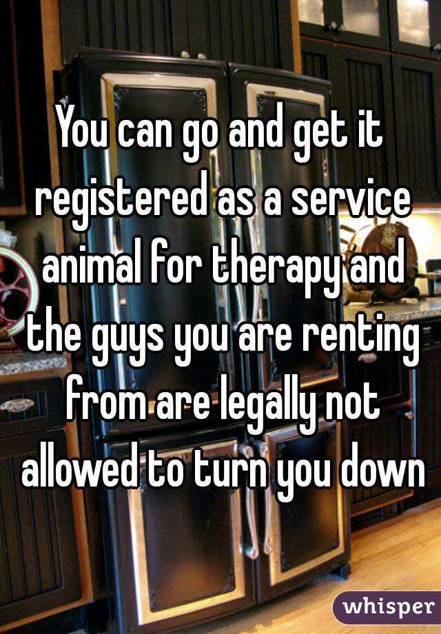 You can go and get it registered as a service animal for therapy and the guys you are renting from are legally not allowed to turn you down