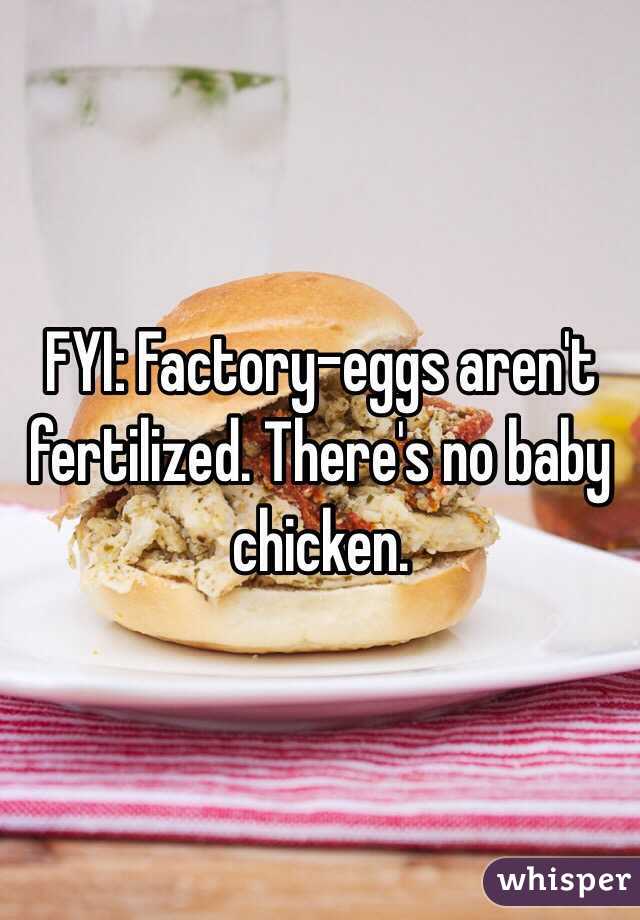 FYI: Factory-eggs aren't fertilized. There's no baby chicken.