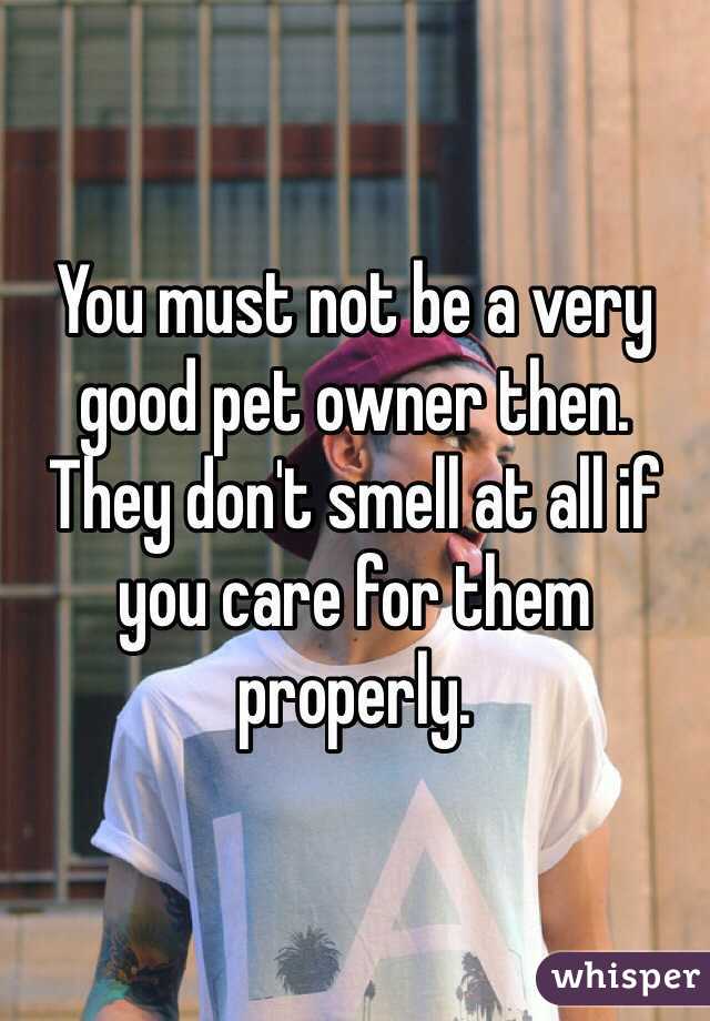 You must not be a very good pet owner then. They don't smell at all if you care for them properly. 