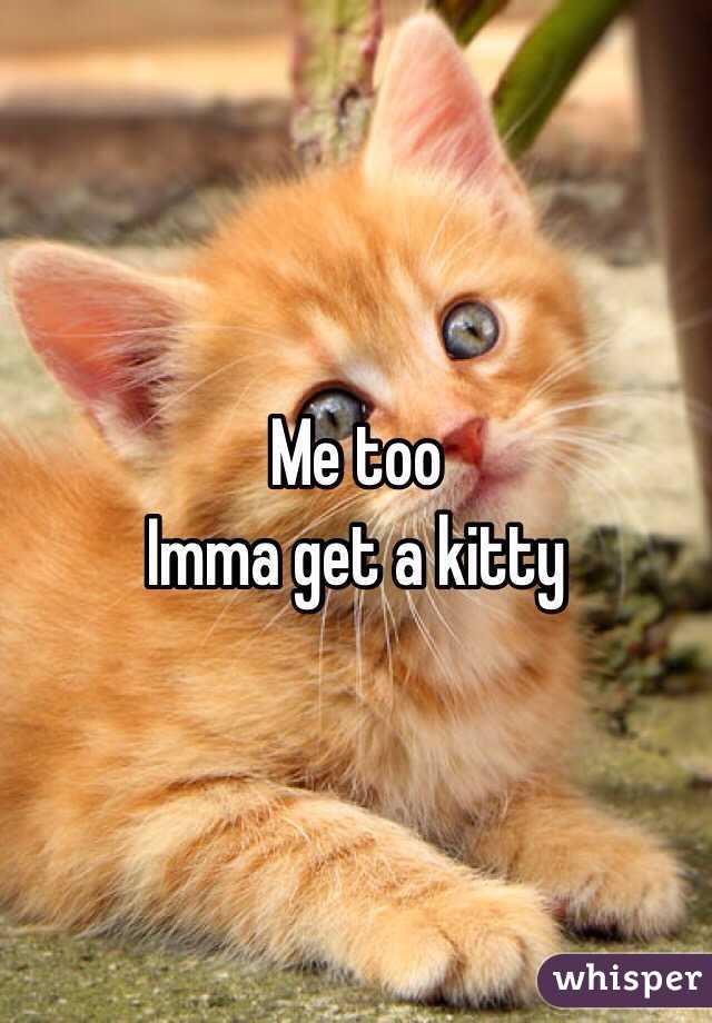 Me too
Imma get a kitty