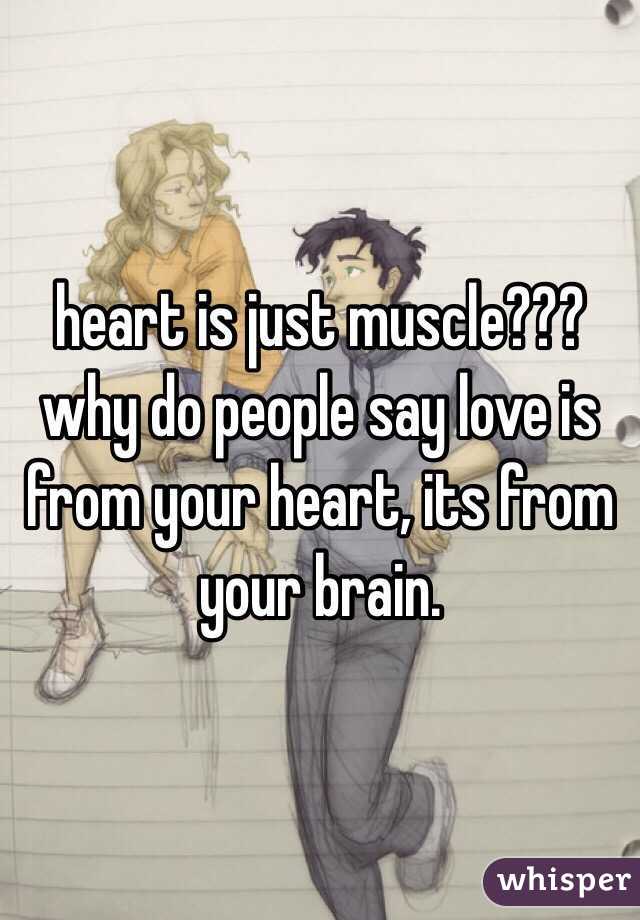 heart is just muscle??? why do people say love is from your heart, its from your brain.