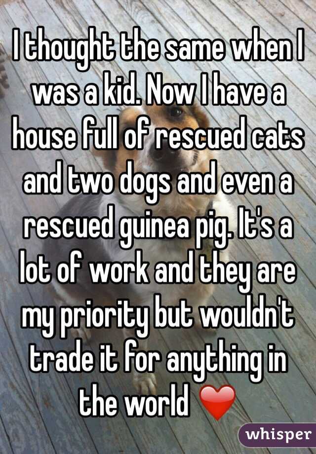 I thought the same when I was a kid. Now I have a house full of rescued cats and two dogs and even a rescued guinea pig. It's a lot of work and they are my priority but wouldn't trade it for anything in the world ❤️